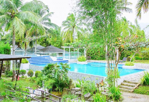 Swimming pool surrounded by palm trees at Lucia's resort