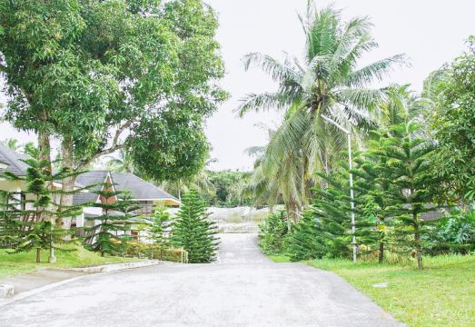 Lush tropical grounds and pathways at Lucia's Tagaytay